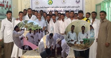 فيديو وصور.. يوم فى حياة شباب شمال سيناء.. التحول من الجلوس على المقاهى لعمل مشروعات صغيرة بدعم من وزارتى التعاون الدولى والتضامن الاجتماعى.. و30 شابا يستثمرون فى الأعلاف لتحقيق أرباح من تربية الأغنام