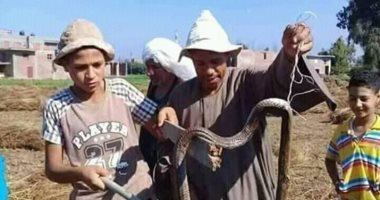 رئيس جامعة المنوفية يجتمع بالجهات المعنية بالمحافظة لمكافحة الثعابين