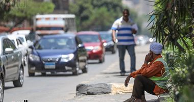 صورة اليوم... وخليك حنين عليهم يا حر الصيف