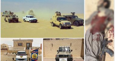 القوات المسلحة تواصل دك جحور الإرهاب 