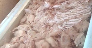 التحفظ على 4 أطنان و620 كيلو لحوم غير صالحة للاستهلاك بالحامول