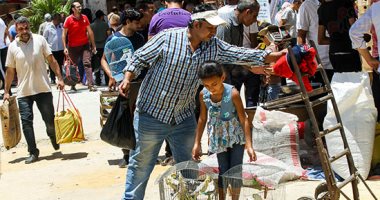 صورة اليوم.. عصفور طل من الشباك قالى يا نونو