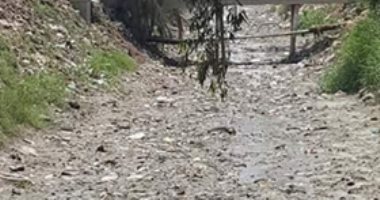 قارئ يشكو من قطع المياه عن ترعة أم شلبى بالدقهلية