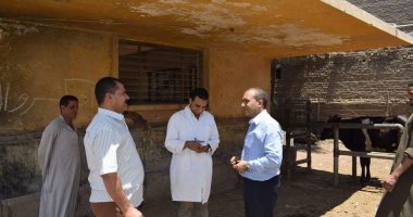 إعادة فتح سوق الماشية بأبوقرقاص بالمنيا الخميس
