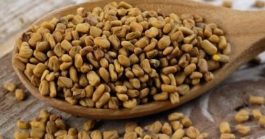 فوائد الحلبة منها ضبط مستوى السكر فى الدم