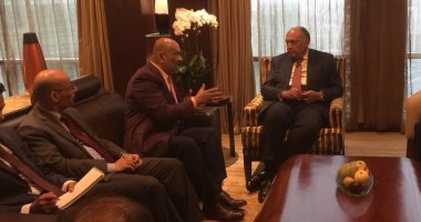 شكرى يستعرض مع نظيره اليمنى جهود مصر لتسهيل توصيل المساعدات الإنسانية لليمن