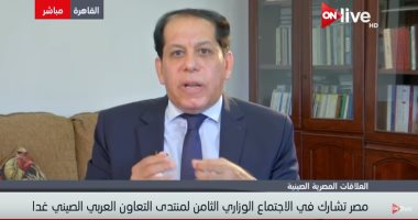 غرفة التجارة المصرية الصينية: مصر ستتأثر إيجابا من حرب أمريكا والصين التجارية