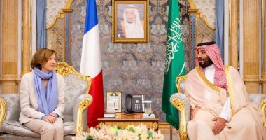 صور.. ولى العهد السعودى يستعرض العلاقات الثنائية مع وزير الدفاع الفرنسية
