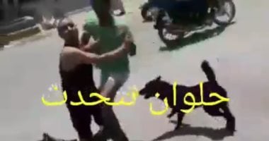 فيديو.. كلاب مسعورة تعقر شابا بحلوان ومربيها يصفعه على وجهه