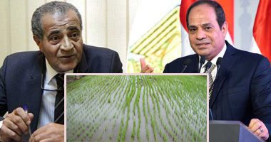 الحكومة تبدأ استيراد الأرز لتأمين احتياجات البلاد.. التموين: تدرس شراء الأرز الشعير من المزارعين وإسناده لمضارب القطاع العام والخاص لتبييضه.. وعلى المصيلحى لـ"اليوم السابع": الكميات الموجودة بالأسواق تكفى