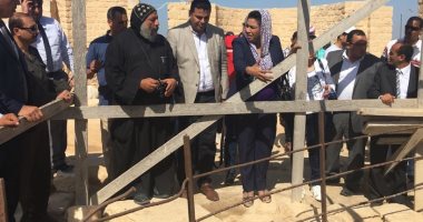 وفد برلمانى يرصد غرق منطقة أثرية بالمياه الجوفية وسط الحشائش "صور"