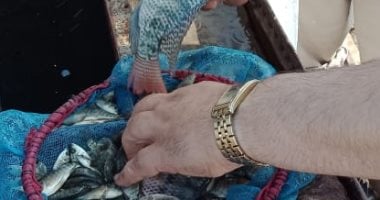 محافظ القليوبية: إنزال الدفعة الرابعة من زريعة الأسماك ببحيرة عرب العليقات