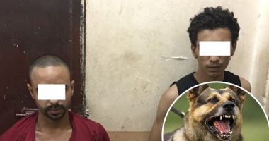 صرخات رواد السوشيال ميديا تنتصر لضحية الكلاب.. ضبط بلطجى احتجز شابا وأرهبه بكلبين فى حلوان بسبب خلافات مالية.. المتهم صوَّر للضحية فيديوهات مسيئة وبثها على السوشيال ميديا.. ويعترف: "كنت عايز أكسر عينه"
