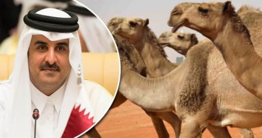 الحمدين يكذبون كما يتنفسون..وسائل إعلام ليبية: تميم لم يتبرع بأضاحى لليبيين