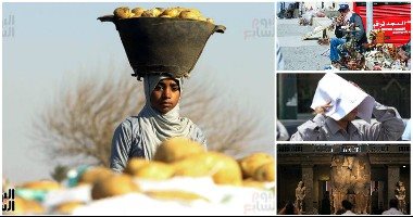 صور الشارع فى أسبوع.. أروح منك فين يا شمس الصيف.. رحلة بيع الطيور فى سوق السيدة عائشة.. فرحة الفلاح بموسم الحصاد.. الحرفة فن والإيد تتلف فى حرير.. وبقدم واحدة لاعبون يضربون أروع الأمثال فى الصبر والأمل