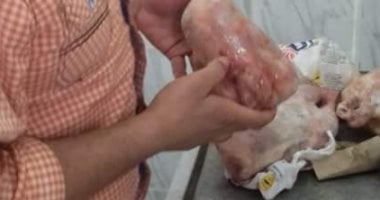 طب بيطرى كفر الشيخ يضبط أدوية منتهية الصلاحية ودجاج ولحوم غير صالحة
