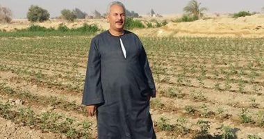 نقيب الفلاحين: تقاوى الطماطم تباع بالتذكرة وأسعارها وصلت إلى 2000 جنيه