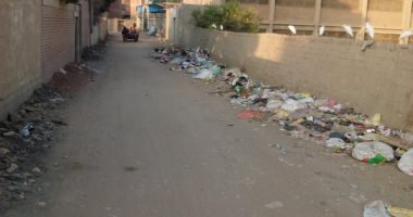 قارئ يرصد تراكم القمامة بطريق مقابر قرية الرملة فى القليوبية