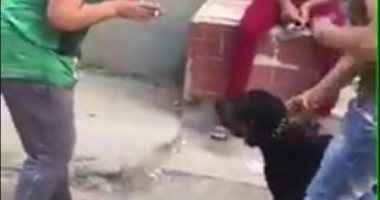 شقيق طفل ذوى الإعاقة المعتدى عليه بكلب: الدولة والنائب العام دعمونا فى كل شئ