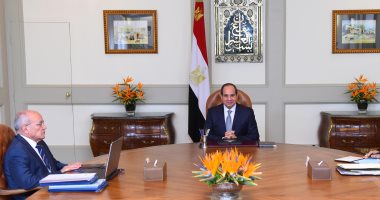 السيسى يؤكد أهمية الاستمرار فى تطوير شركات ومصانع "الإنتاج الحربى"