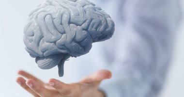 خلايا مخك تقدر تكشف صدق اللى قدامك..اعرف ازاى