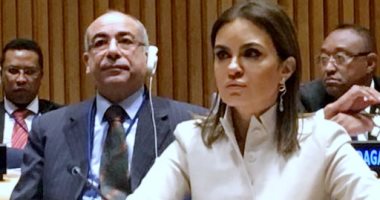 مصر تلقى بيان المجموعة 77 والصين أكبر تحالفات الدول النامية بالأمم المتحدة
