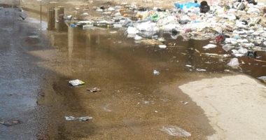 قارئ يشكو من كسر ماسورة مياه بشارع حبيب فى كفر الدوار