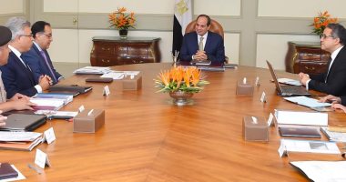 الرئيس السيسي: مصر ستشهد نقلة حضارية وثقافية كبيرة بحلول عام 2020