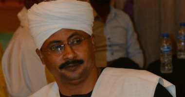 باحث سودانى: رفع واشنطن القيود على المساعدات العسكرية لمصر صفعة لـ"الإخوان"