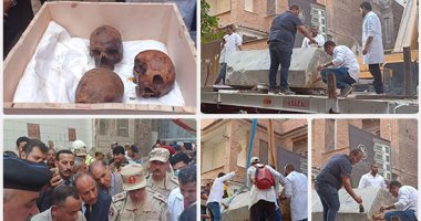 س وج.. كل ما تريد معرفته عن نتائج الأبحاث على جماجم تابوت الإسكندرية