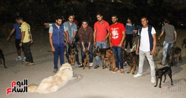 من حق الجميل يدلع.. أهالى العبور يردون على اتهام الكلاب بالبلطجة بـ"dog walk"