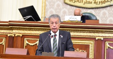 أمين سر المجلس الفلسطينى: نرفض مخططات إنشاء دولة فلسطينية فى جزء من سيناء