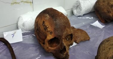 الآثار ردا على شائعات تابوت الإسكندرية: لا يوجد زئبق أحمر وندرس الجماجم