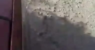 قارئ يشكو من حالة طريق القاهرة أسوان الزراعى ويطالب بتمهيده