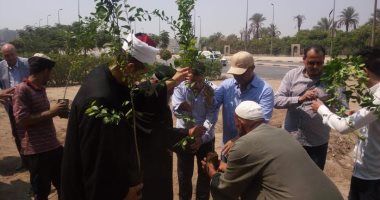 استمرار حملة زراعة المليون شجره فى إمبابة فى الجيزة