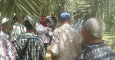 صور.. زراعة الوادى الجديد تستكمل فعاليات التدريب على المكافحة الحيوية للآفات  