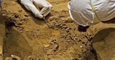 صور.. اكتشاف هيكل عظمى بلا رأس لـ مالك عبيد أمريكى عمره 350 عامًا