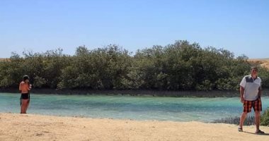 صور.. تعرف على أروع بقاع العالم الطبيعية الساحرة بجنوب سيناء