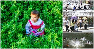 حكايات صور الشارع فى أسبوع.. الخيامية حرفة أصيلة تحكى تاريخ.. حر الصيف ما يقدرش على المصريين.. خروجة بسيطة تسبب بهجة.. انسى همومك وارميها فى البحر.. وضحكة طفل بريئة وسط الغيطان هى الأمل فى الحياة
