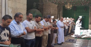 نجلاء محمد تكتب: علمتنى الحياة