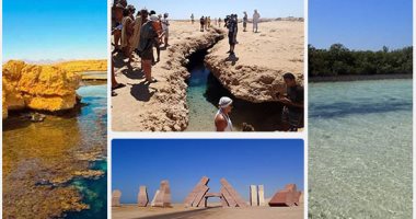 5 فوائد للأمطار على المحميات الطبيعية.. تعرف عليها