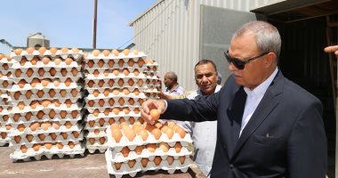 صور وفيديو.. محافظ قنا يشهد ذبح دواجن الدورة الخامسة بالمجزر الآلى