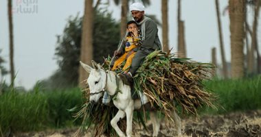 صورة اليوم.. يا أبو جلابية.. عمة وقفطان بتوع زمان
