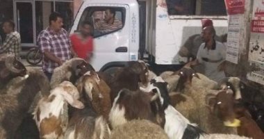 حى ثانٍ الزقازيق: دمج "النباشين" فى منظومة النظافة للقضاء على أزمة القمامة