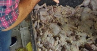 صور.. ضبط 12.5 طن دواجن غير صالحة للاستخدام الآدمى بمجزر بكفر الشيخ