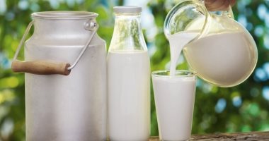 حصاد الصحة اليوم.. شرب حليب بقرة مصابة بحمى ممكن بشروط