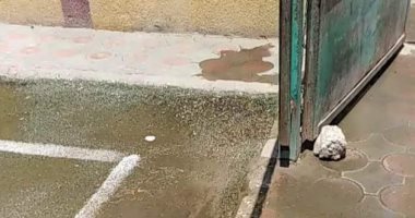 اضبط مخالفة.. ملعب مركز شباب عمريط بالشرقية يغرق فى مياه المجارى