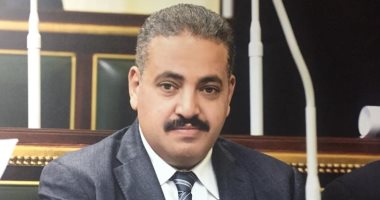 النائب منتصر رياض: المشروعات الصغيرة قادرة على مواجهة شبح البطالة 