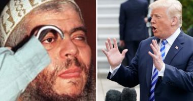 الصحف العالمية اليوم.. 400 مرشح فى الانتخابات النصفية الأمريكية من المثليين والمتحولين جنسيا.. روسيا تعين ستيفن سيجال مبعوثا خاصا لها لدى أمريكا.. نصائح لترامب من أبو حمزة المصرى.. واستمرار موجة الحر فى أوروبا
