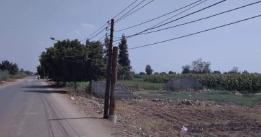 اضبط مخالفة.. عامود كهرباء يهدد حياة أهالى قرية "دنوشر" بالمحلة